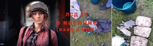 амф Аркадак