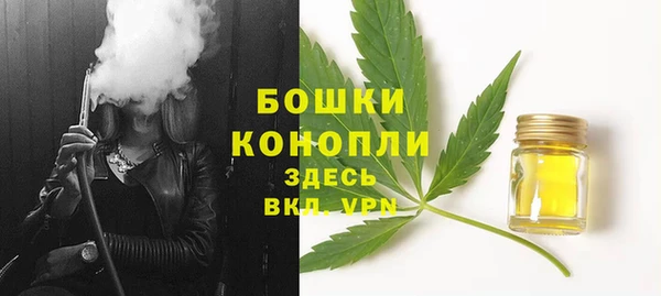 винт Арсеньев