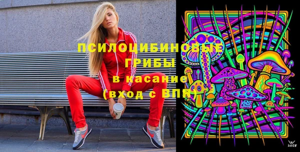 винт Арсеньев