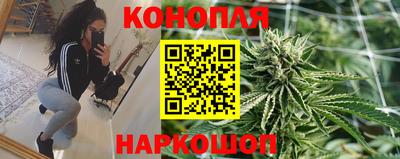 mdpv Кингисепп