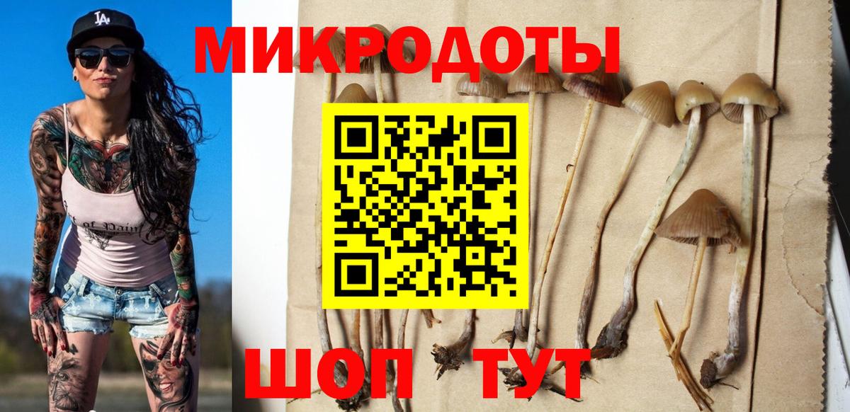 Псилоцибиновые грибы Magic Shrooms Кирово-Чепецк
