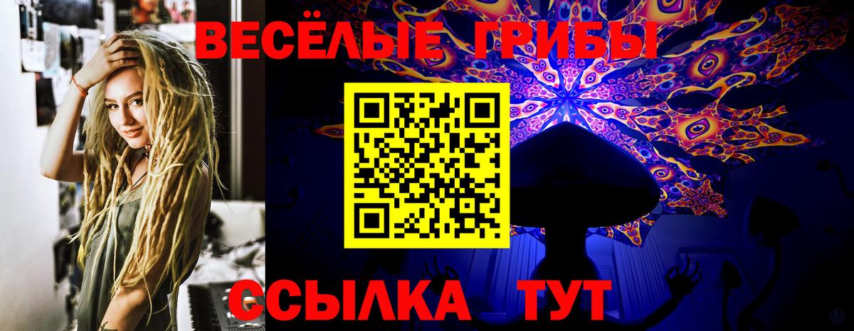 Галлюциногенные грибы мицелий  Вход с VPN  цена наркотик  Кирово-Чепецк 
